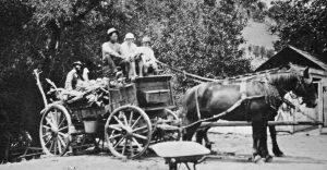Photo: old black and white of Sinton family with horse and wagon